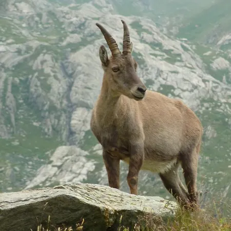 Casa Di Marina Daire