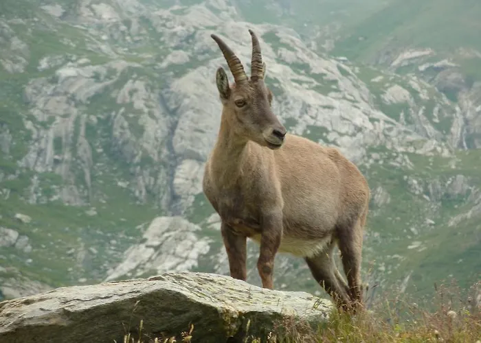 Casa Di Marina 아파트